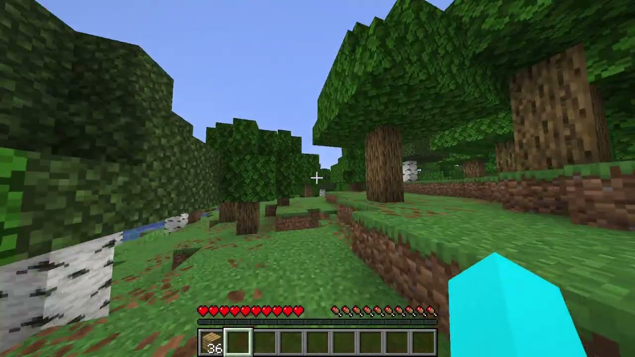 MINECRAFT my journy