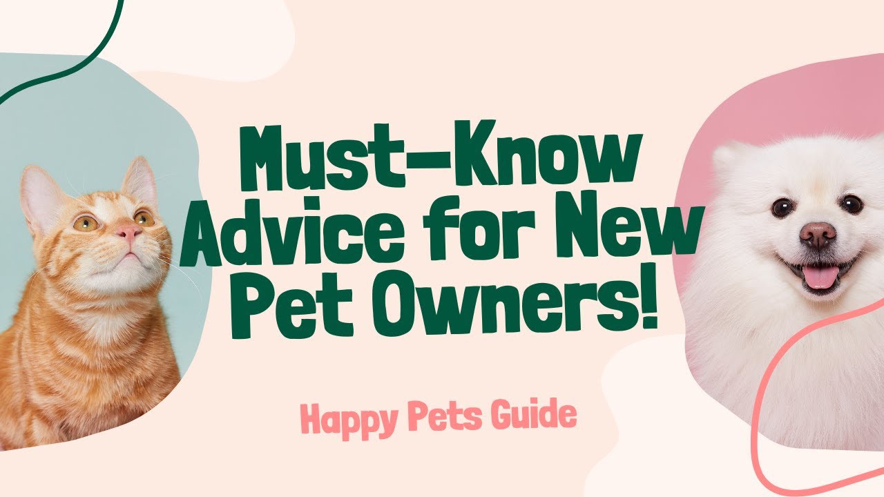 10 Essential Tips for New Pet Owners: A Comprehensive Guide