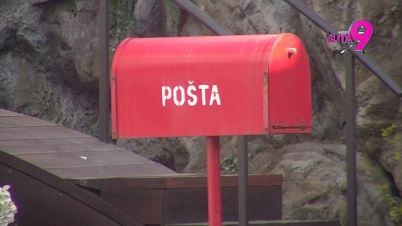 Elita 9: Veliki &scaron;ef poslao bitno pismo na adresu Bele kuće - 15.04.2026.