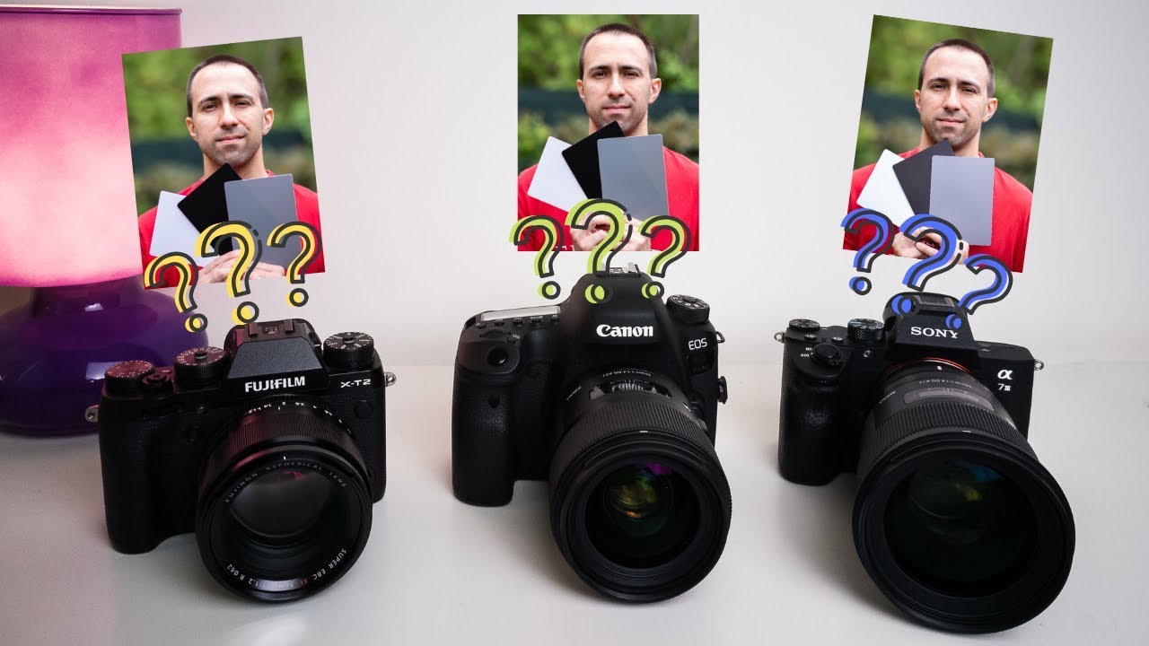 Quale fotocamera ha i COLORI MIGLIORI? La SCIENZA COLORI di Canon Sony Fuji Nikon etc conta DAVVERO?