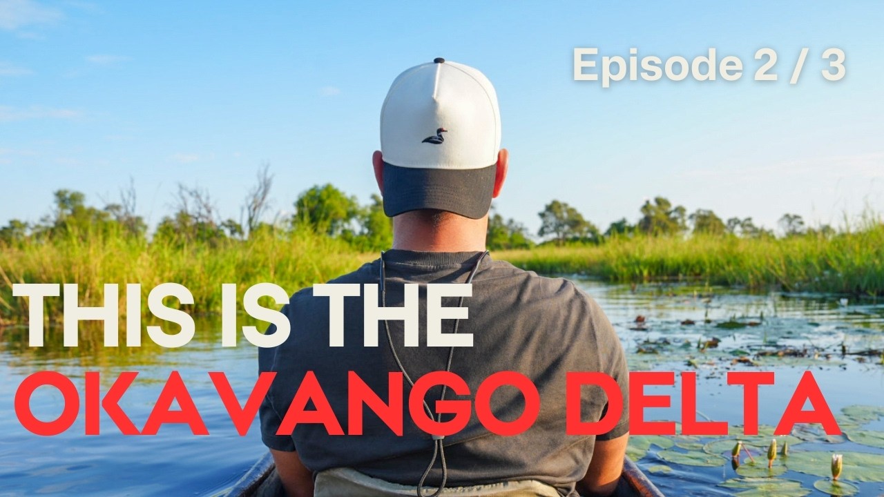Flying Into the Okavango… This Is What Awaits You