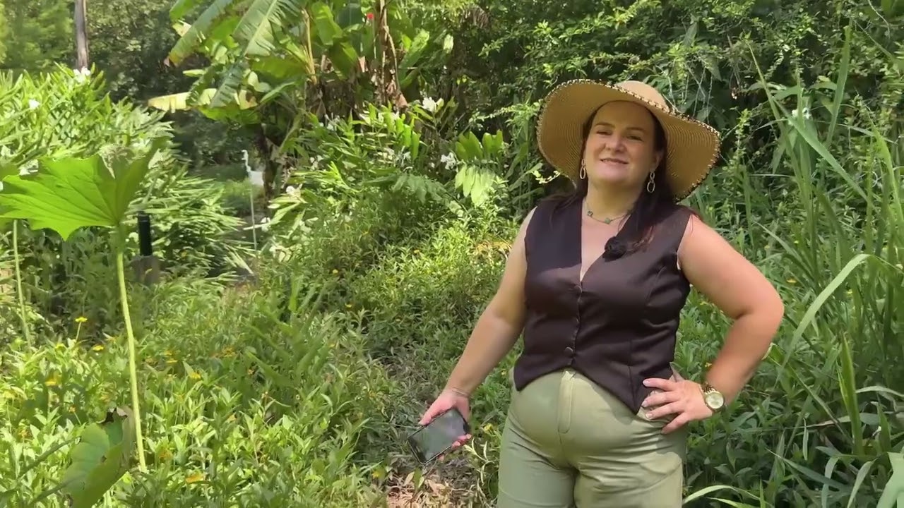 A Flor de Lótus do Parque Witeck merece ser vista de perto