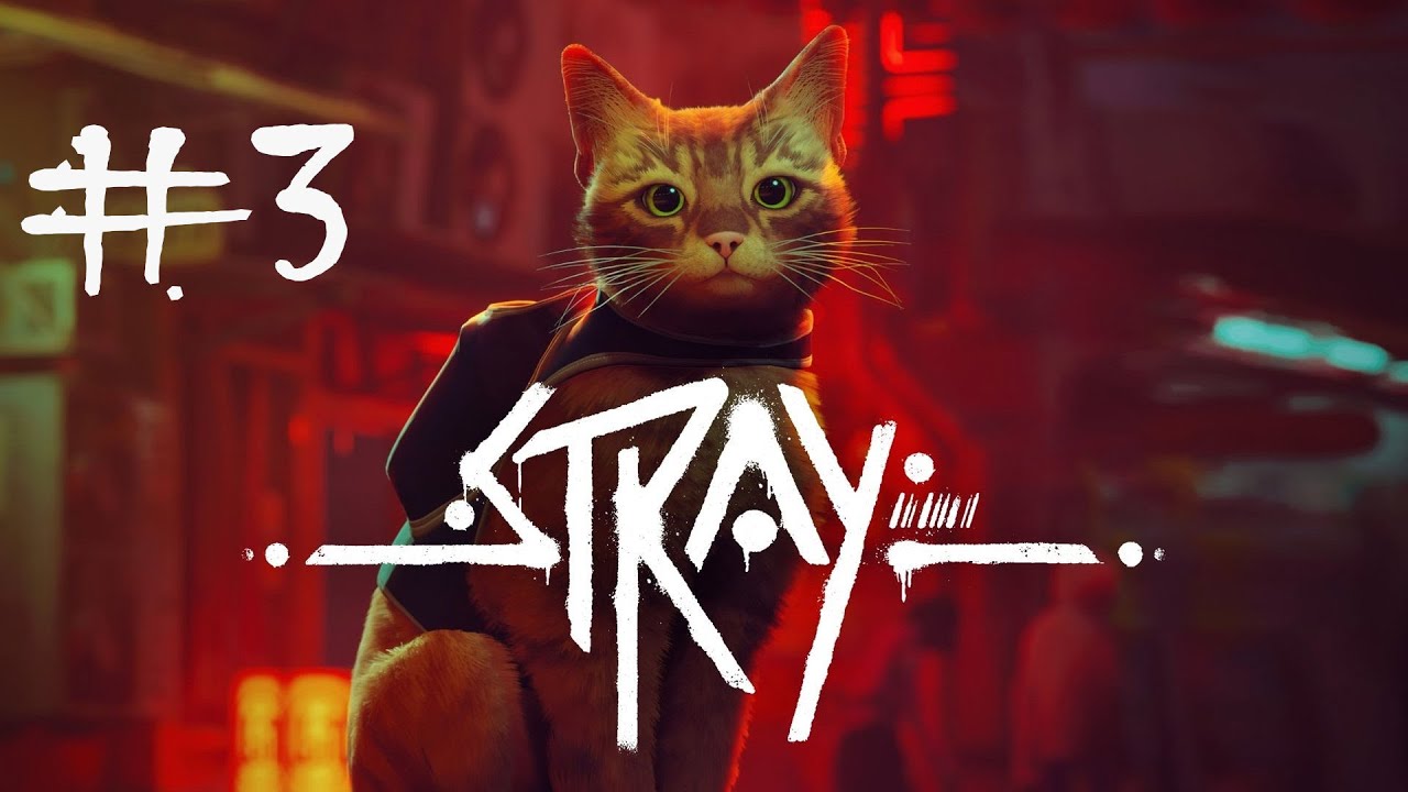 Stray #2 Momo