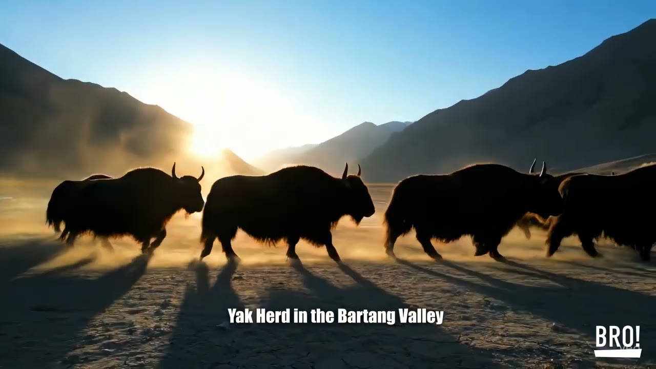 Epic Tajikistan: A 4K Visual Journey Through the Crown of Central Asia