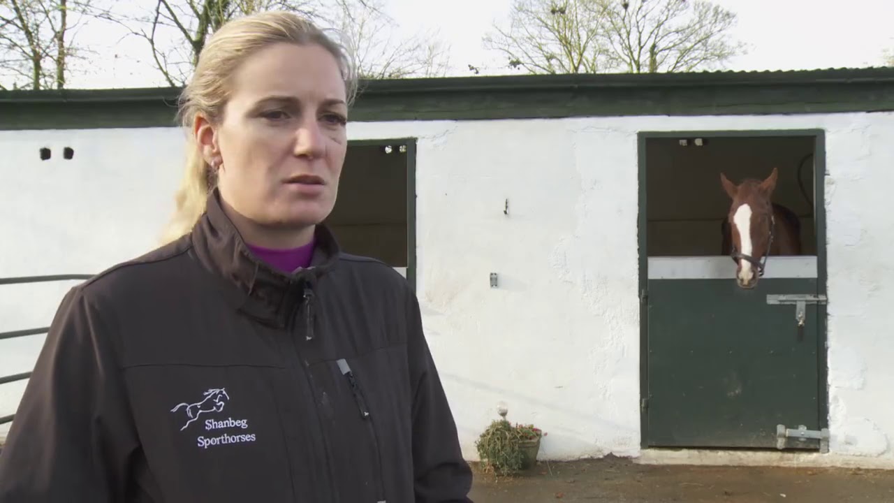 Whitstone Animal Bedding - Straw Pellets