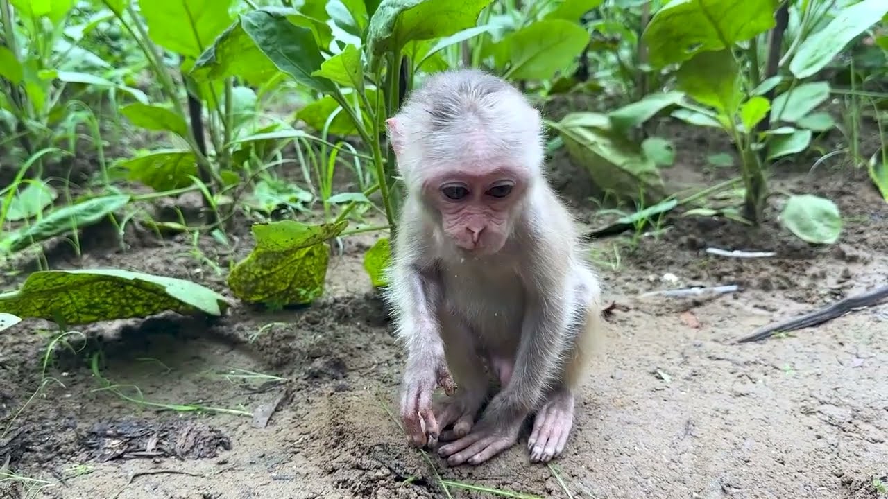 Настал день, которого никто не хочет!!!