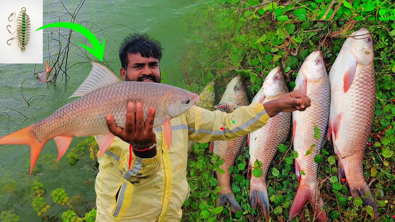 వర్ష కాలంలో అన్ని రవు చేపలే పడుతున్నాయి | rohu fish catching| feeder fishing | feeders sale |