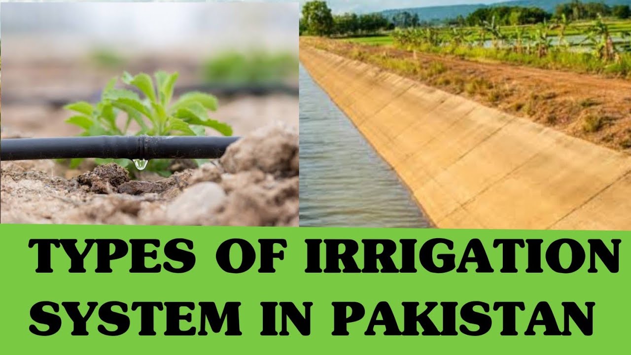 Type of irrigation system in Pakistan