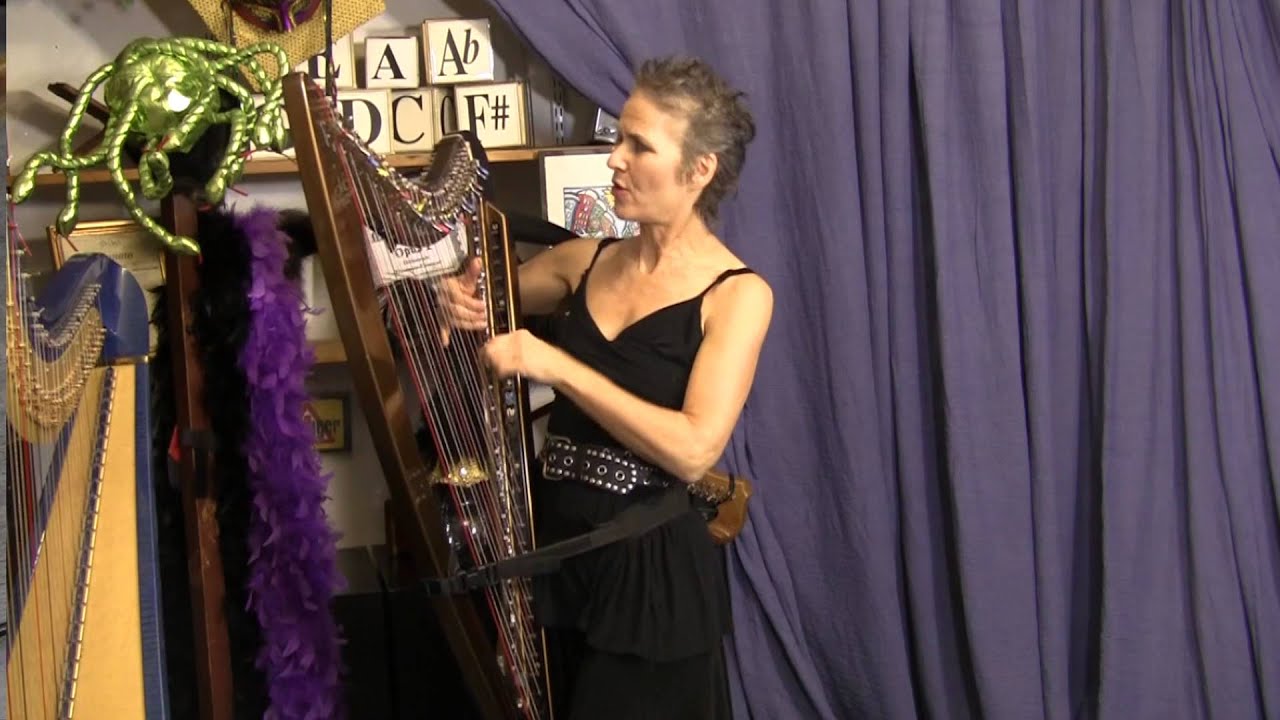 DHC's Electric Harp & Gadgets (Deborah Henson-Conant)