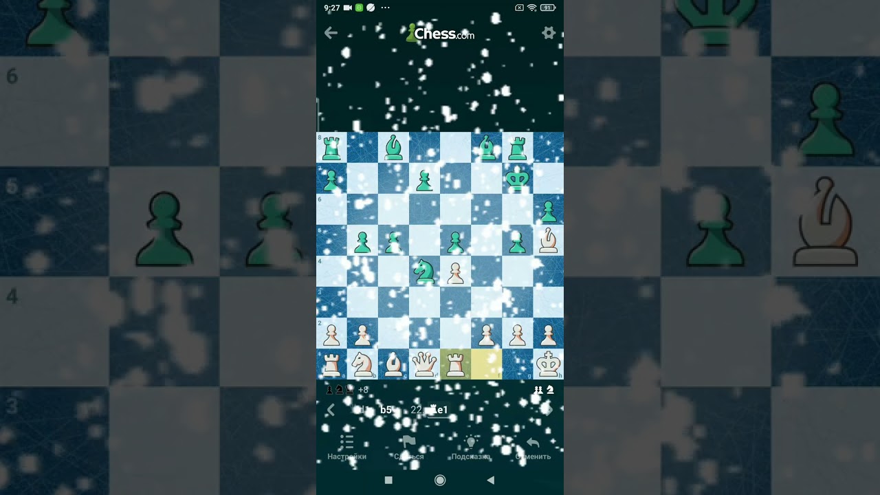 Зима шахи