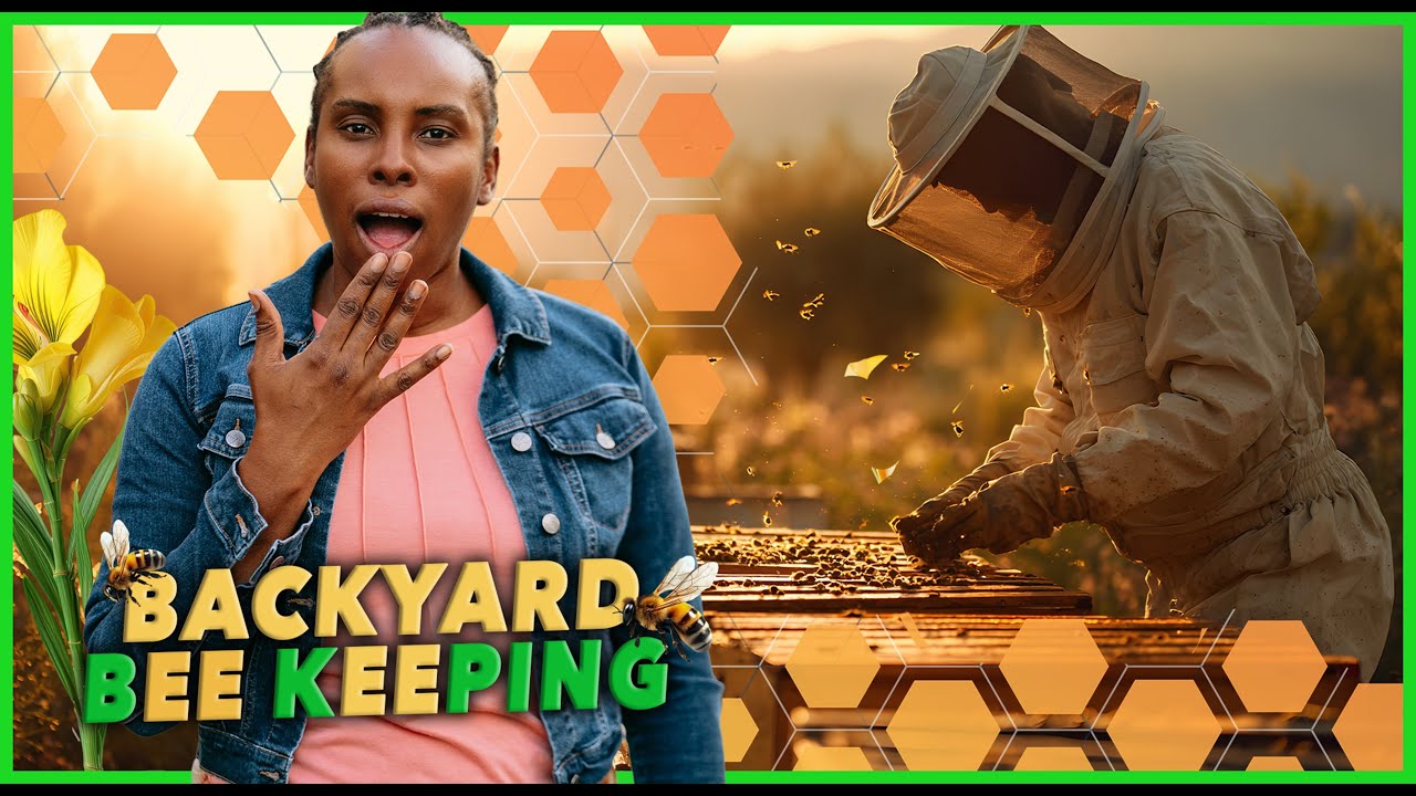 Backyard Bee-Keeping | Bees in The Garden
