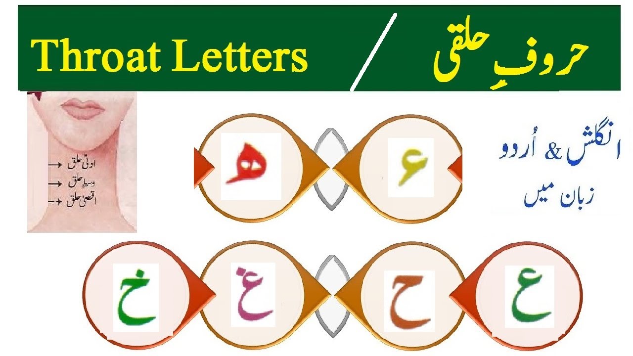 Haroof e Halqi || Throat Letters Exercise Qaida Ahsan UL Qawaid Basic tajweed Lesson