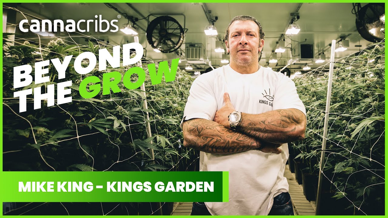 Mike King's Journey to 660k Sq. Ft. and 12,000 Lights - Beyond the Grow with Kings Garden