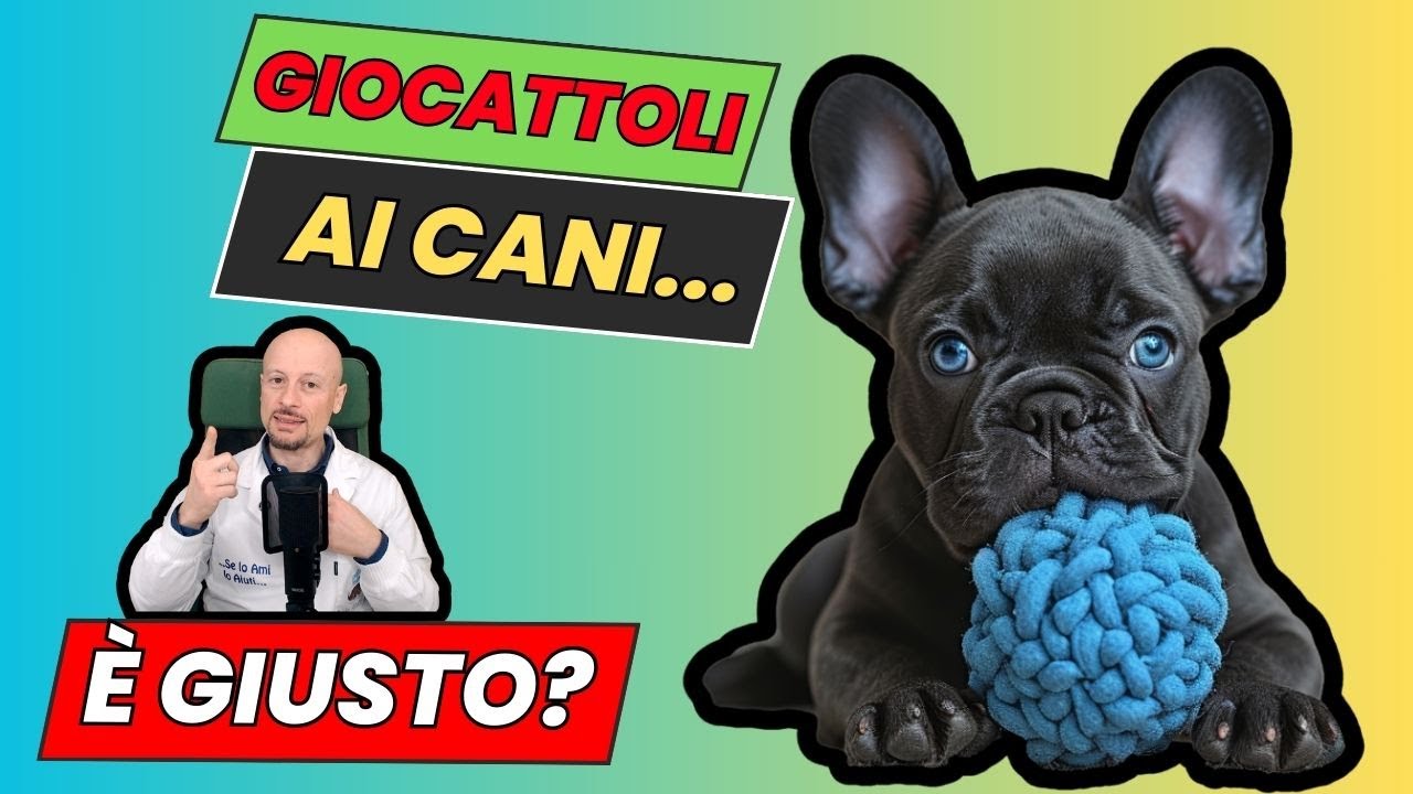 Lasciare giochi e masticativi ai cani è giusto?