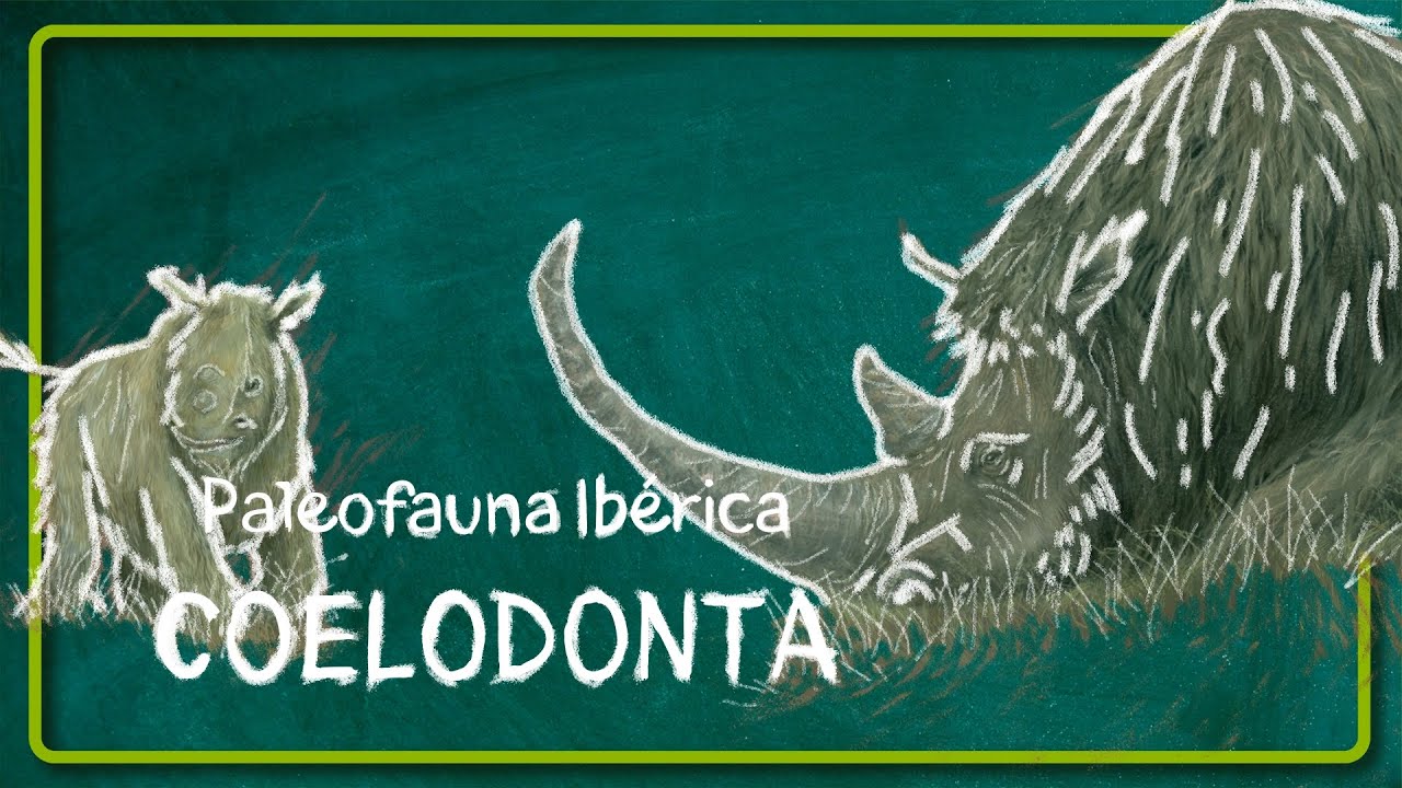 COELODONTA ANTIQUITATIS, el rinoceronte lanudo de la Pen&iacute;nsula Ib&eacute;rica