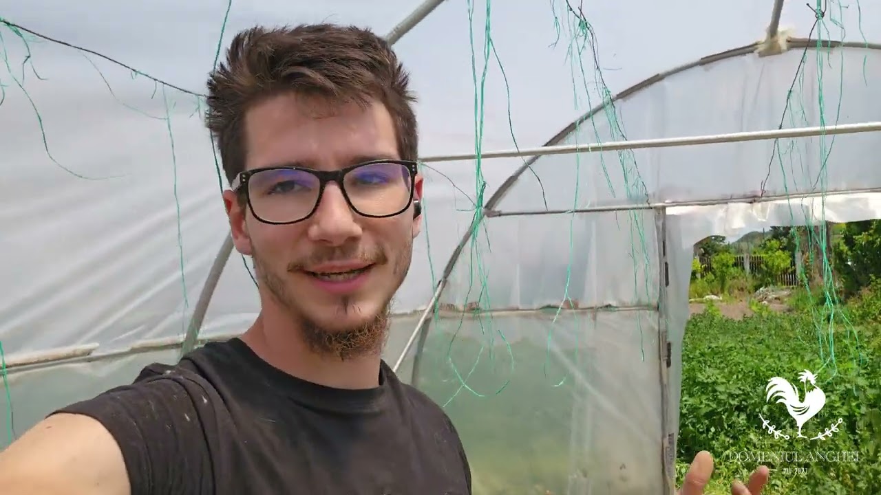 Ce am plantat in solarul mic??