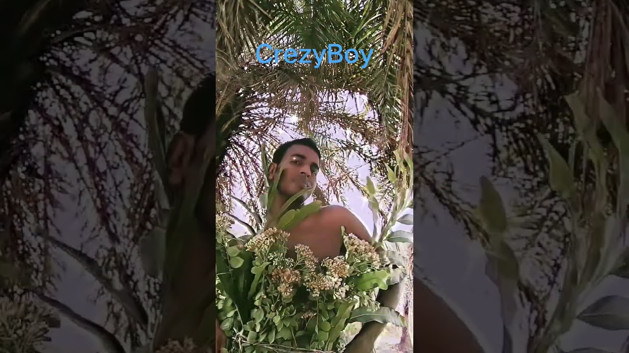 #bongoboy
