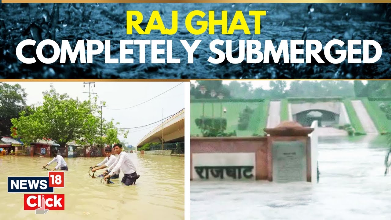Delhi Flood Waters Reach Supreme Court, Rajghat Submerged | Yamuna Flood News | Delhi Rain News