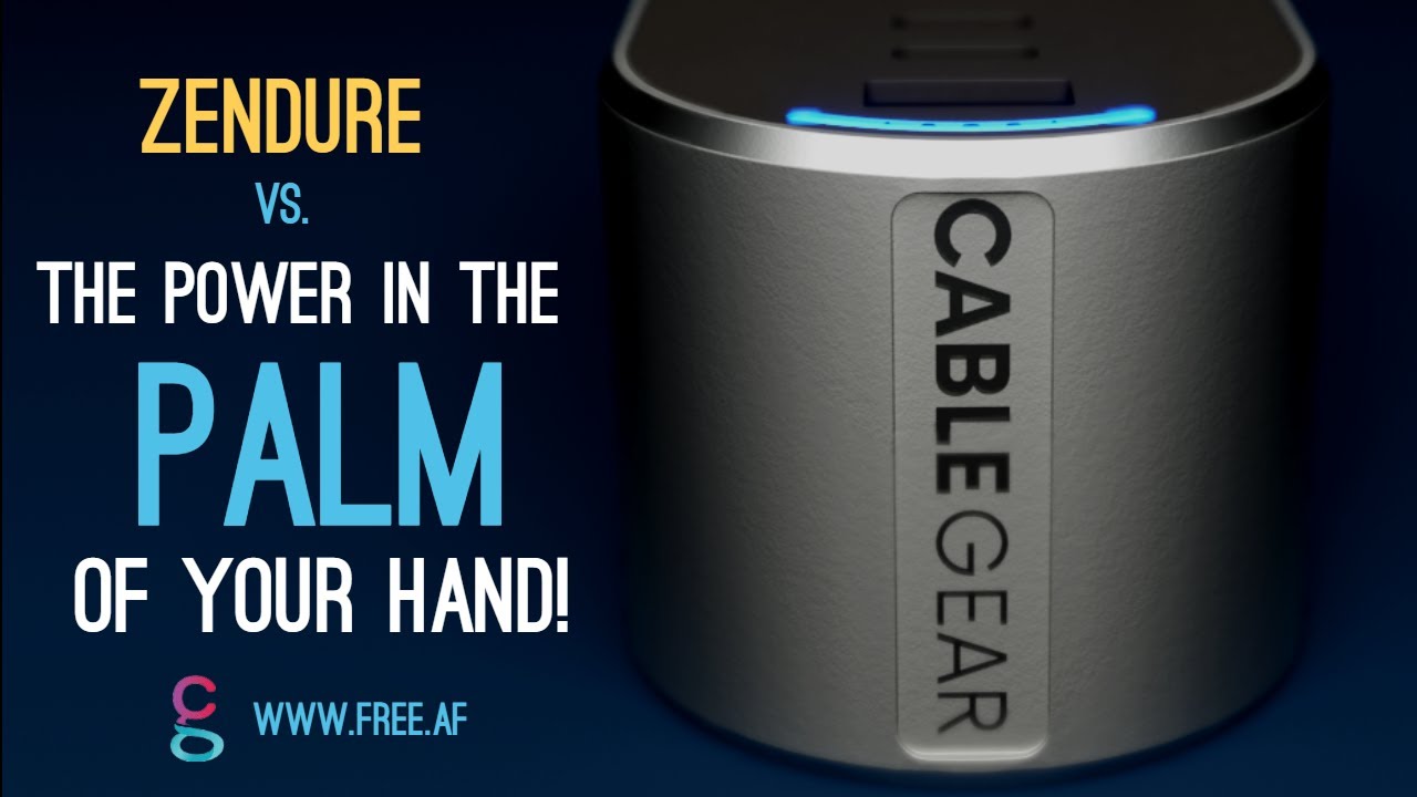 Review Zendure vs. Roam the Universal Global Charger Travel Adapter from Cable Gear - Visit Free.AF