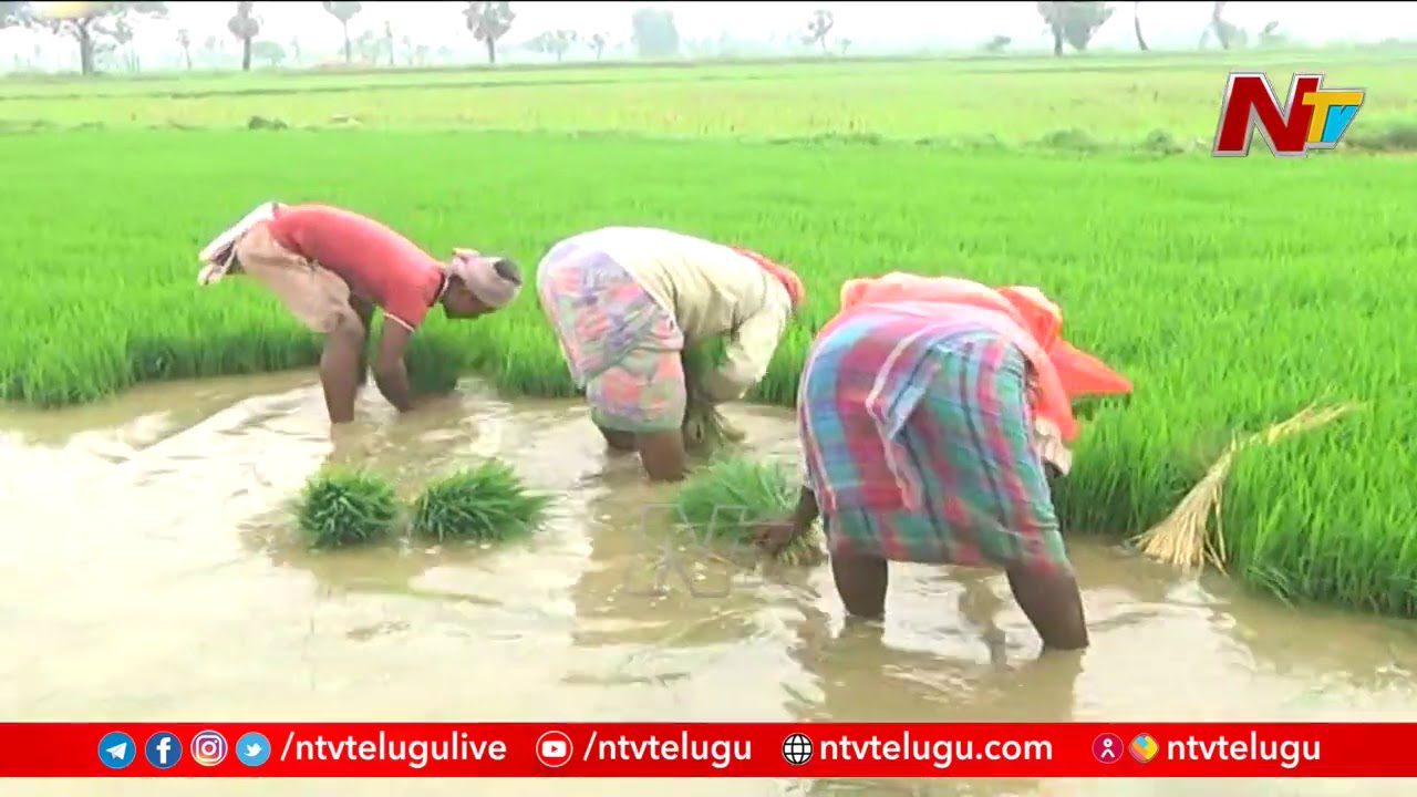 AP Govt Moves To Fix Meters For Free Electricity Scheme For Farmers | NTV