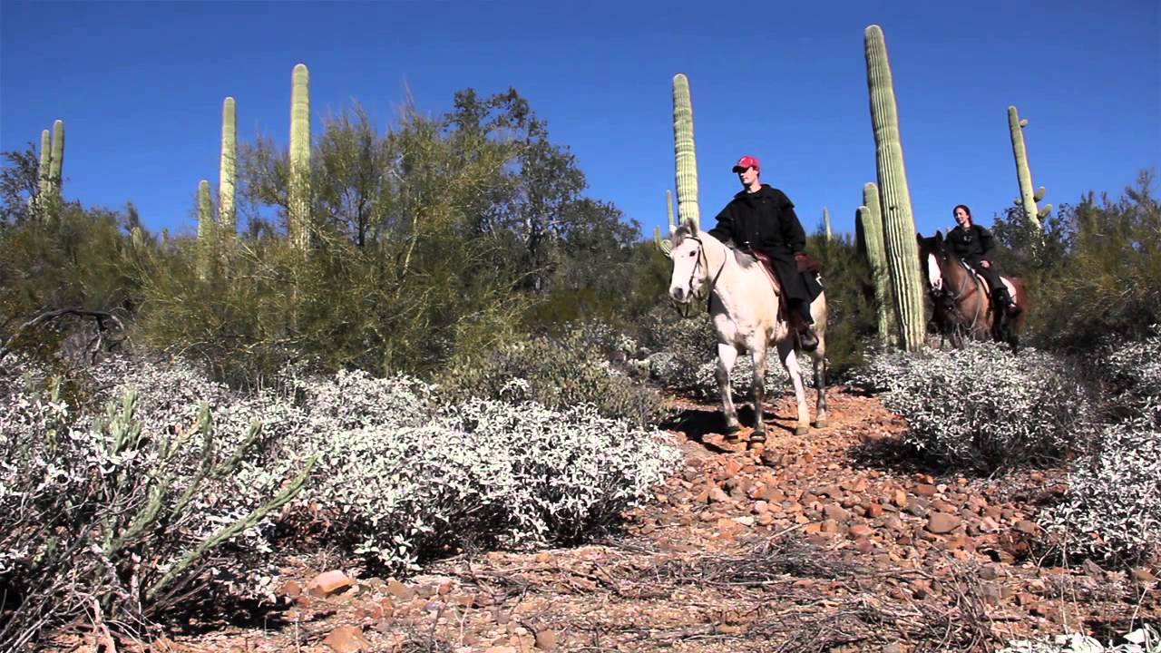 BLM Arizona - Black Canyon National Recreation Trail