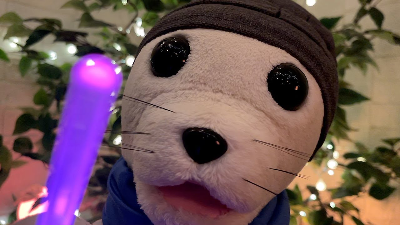 Let this Fluffy Seal Clean Your Eyes 🦭 | ASMR Personal Attention Roleplay