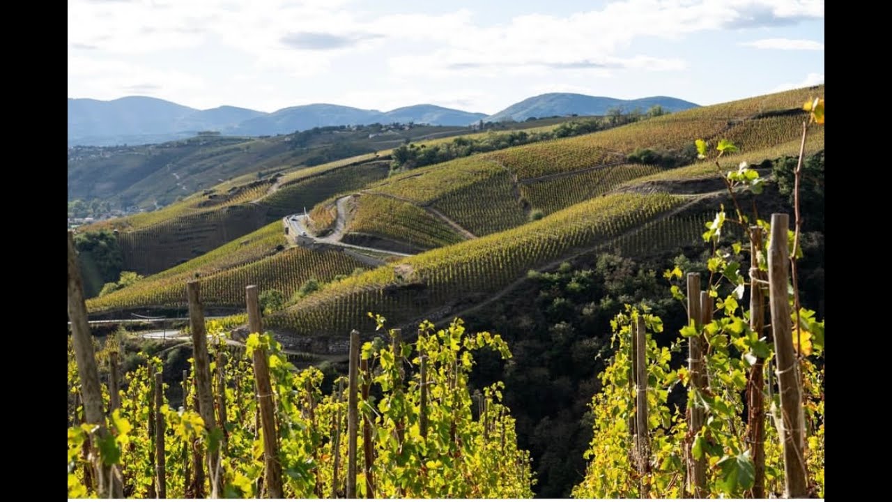 RHÔNE - Tupin & Semons - Balades sur la rive droite du Rhône