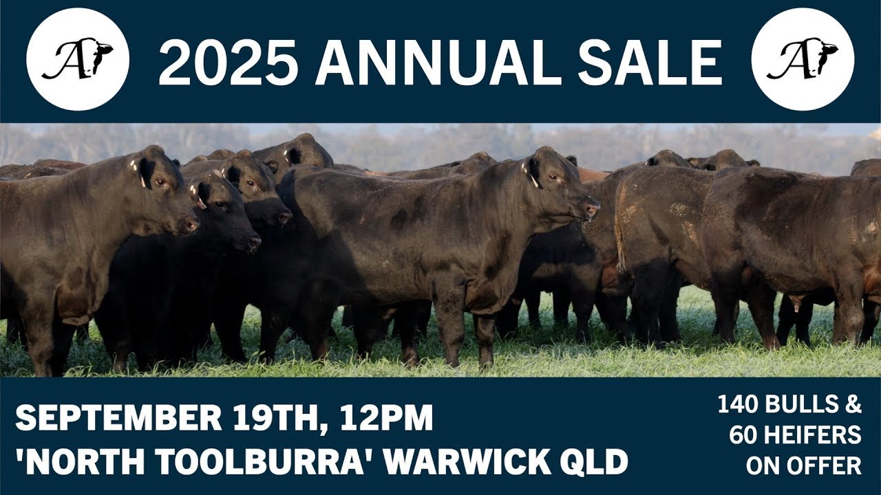 Ascot 2025 Annual Sale Presale