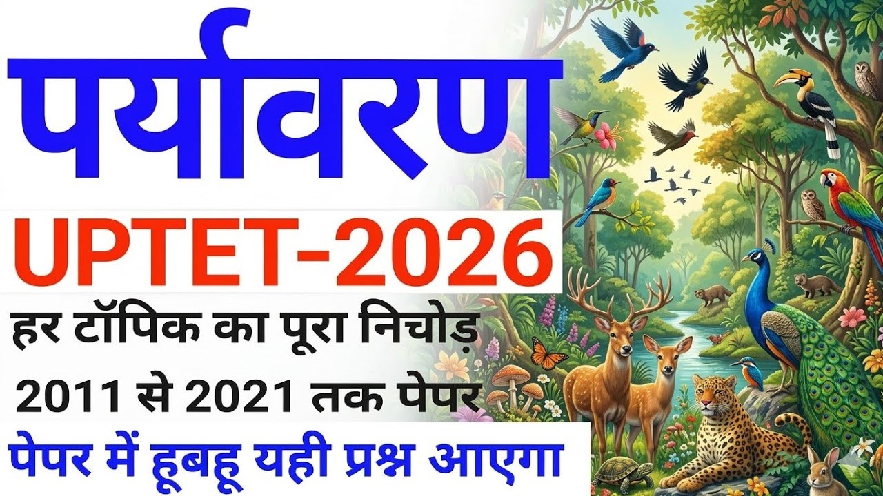 UPTET 2026 evs previous year question paper| UP TET 2026 notification #educationstudypoint#uptet2026