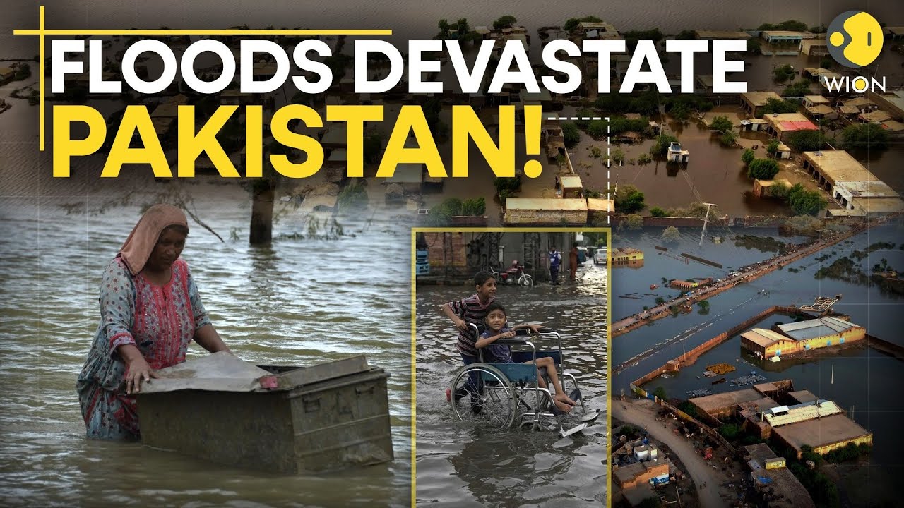 Pakistan Floods LIVE: Floods Devastate Pakistan! News Reporter Swept Away; Multiple Killed | LIVE