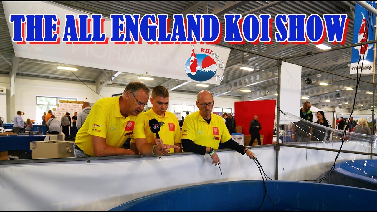 Genieten in Engeland: check de toppers van The All England Koi Show 2025