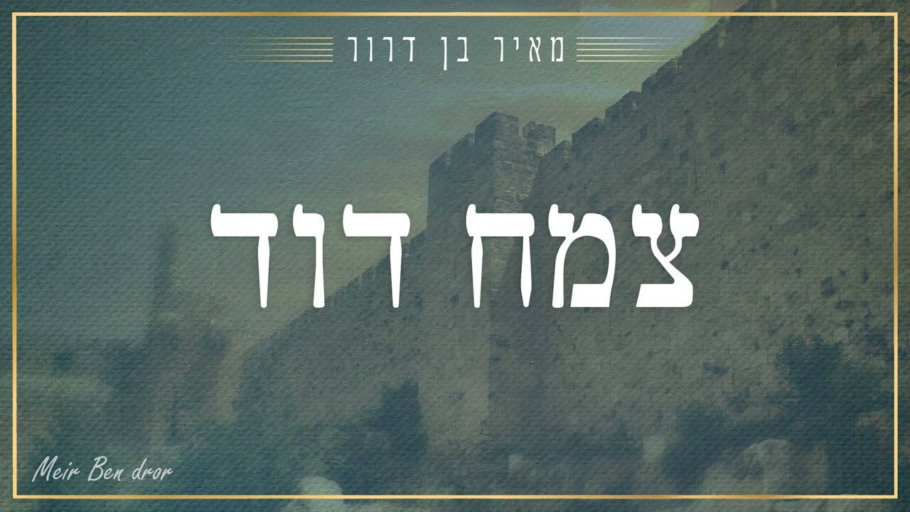 צמח דוד - מאיר בן דרור | Tsemach David - Meir Ben Dror