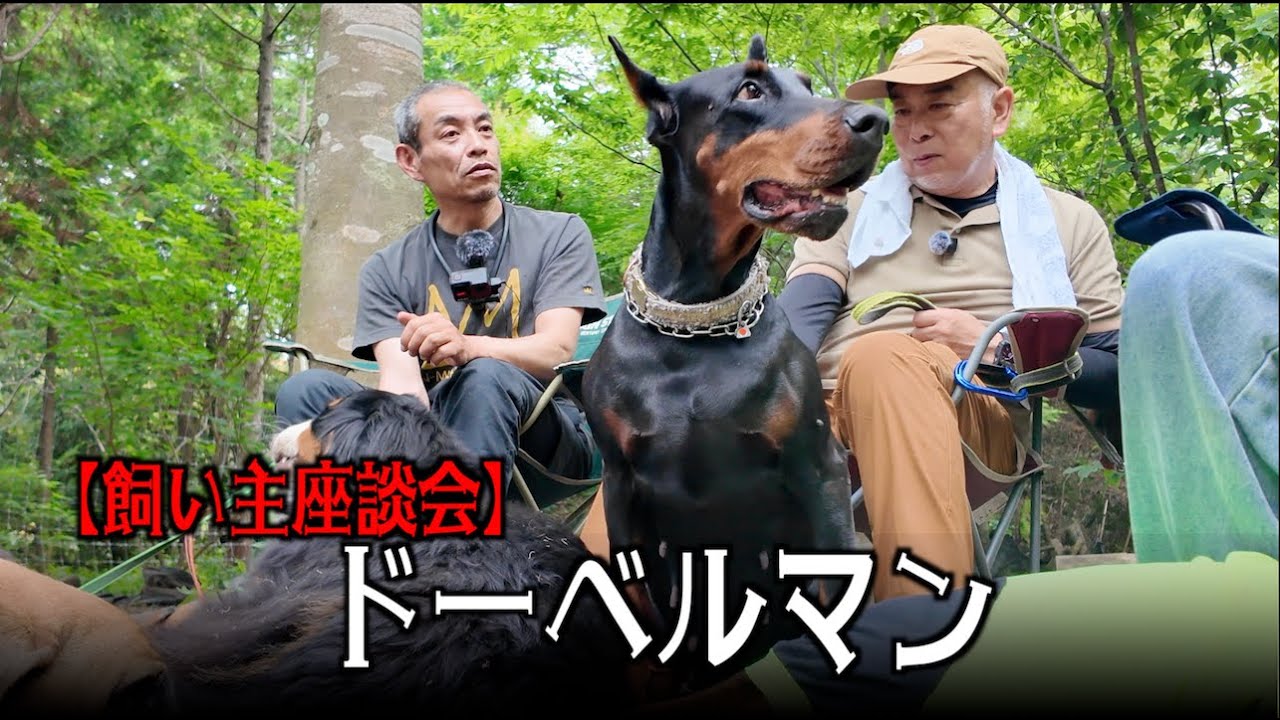 ドーベルマンのこと教えて！【飼い主座談会】
