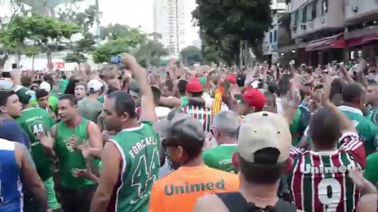 Torcida For&ccedil;a Flu - 44 Anos - Somos a Hist&oacute;ria!