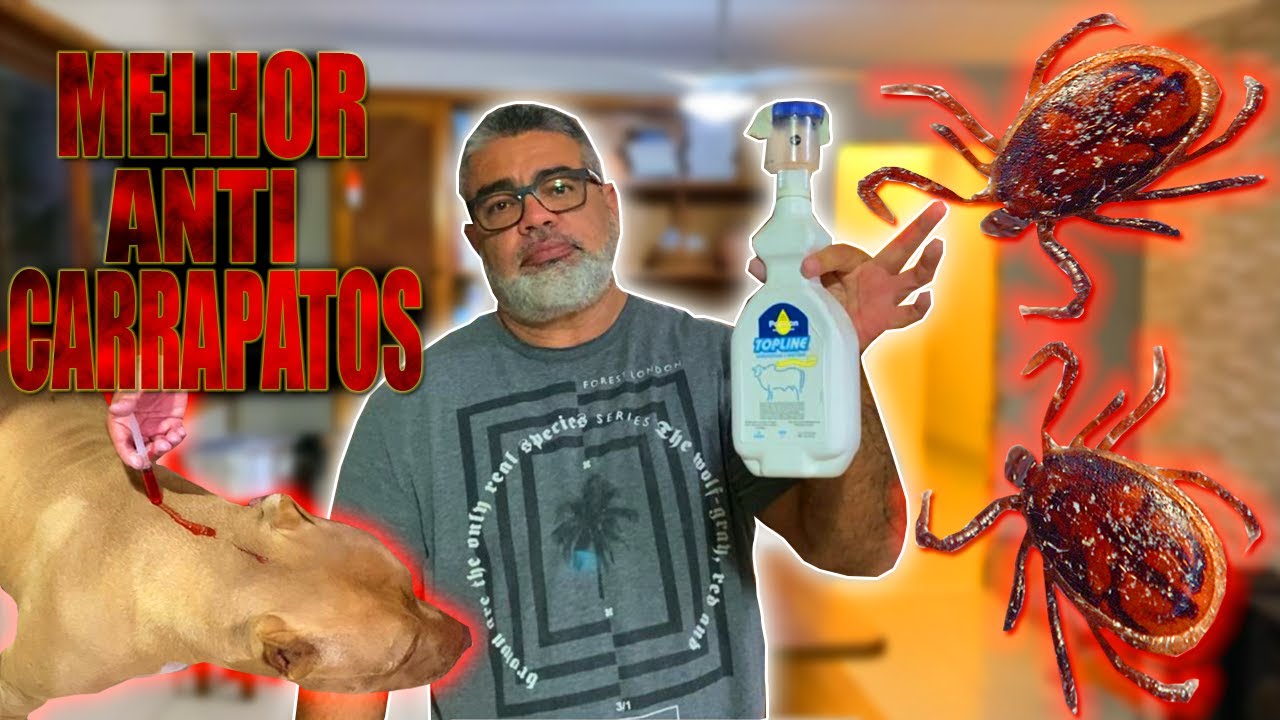 MELHOR ANTI PULGAS E CARRAPATOS PARA SEU CÃO