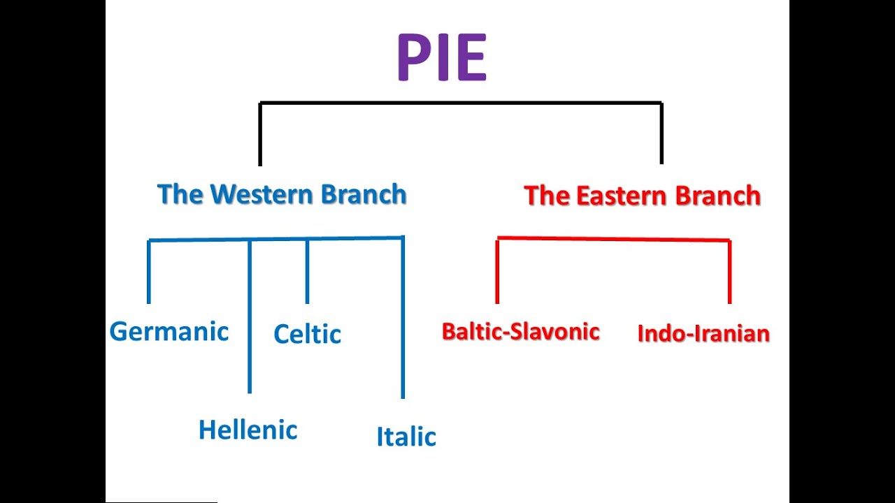 How to Understand the Branches of Proto-Indo-European !!