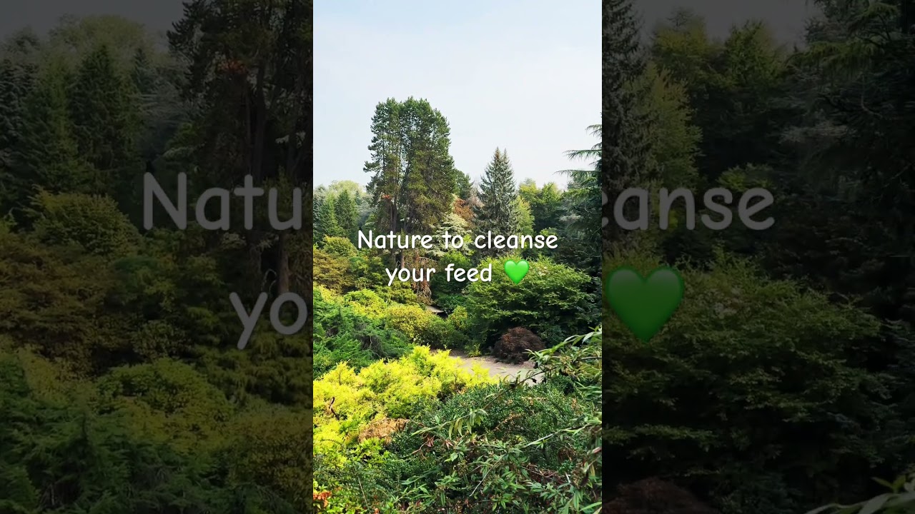 #nature #peace #meditation #spirituality
