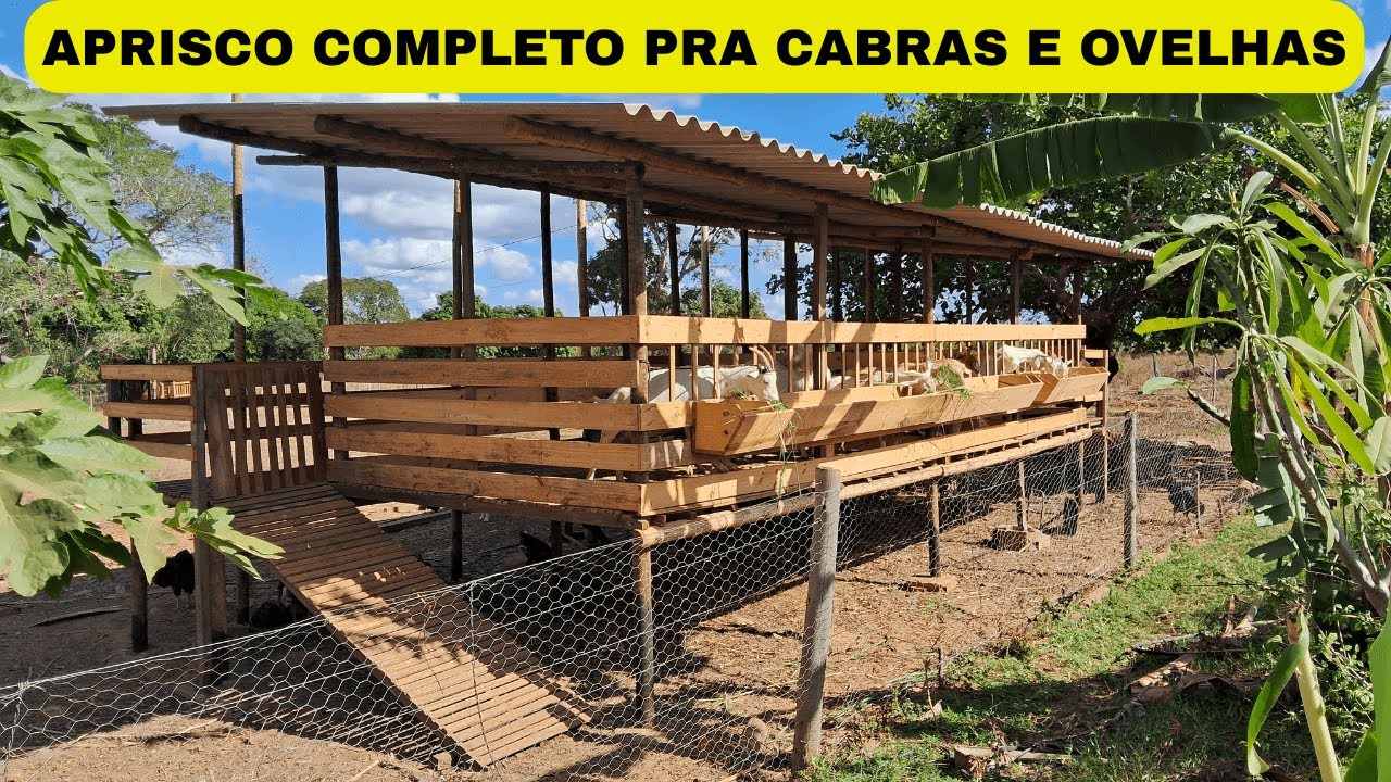 VEJA NA ROÇA JÁ PRONTO O CAPRIL E APRISCO SUSPENSO COMPLETO PRA CABRAS E OVELHAS! TODOS OS DETALHES