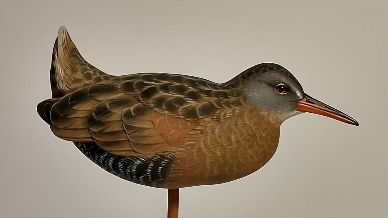 Making a Shorebird Decoy Carving