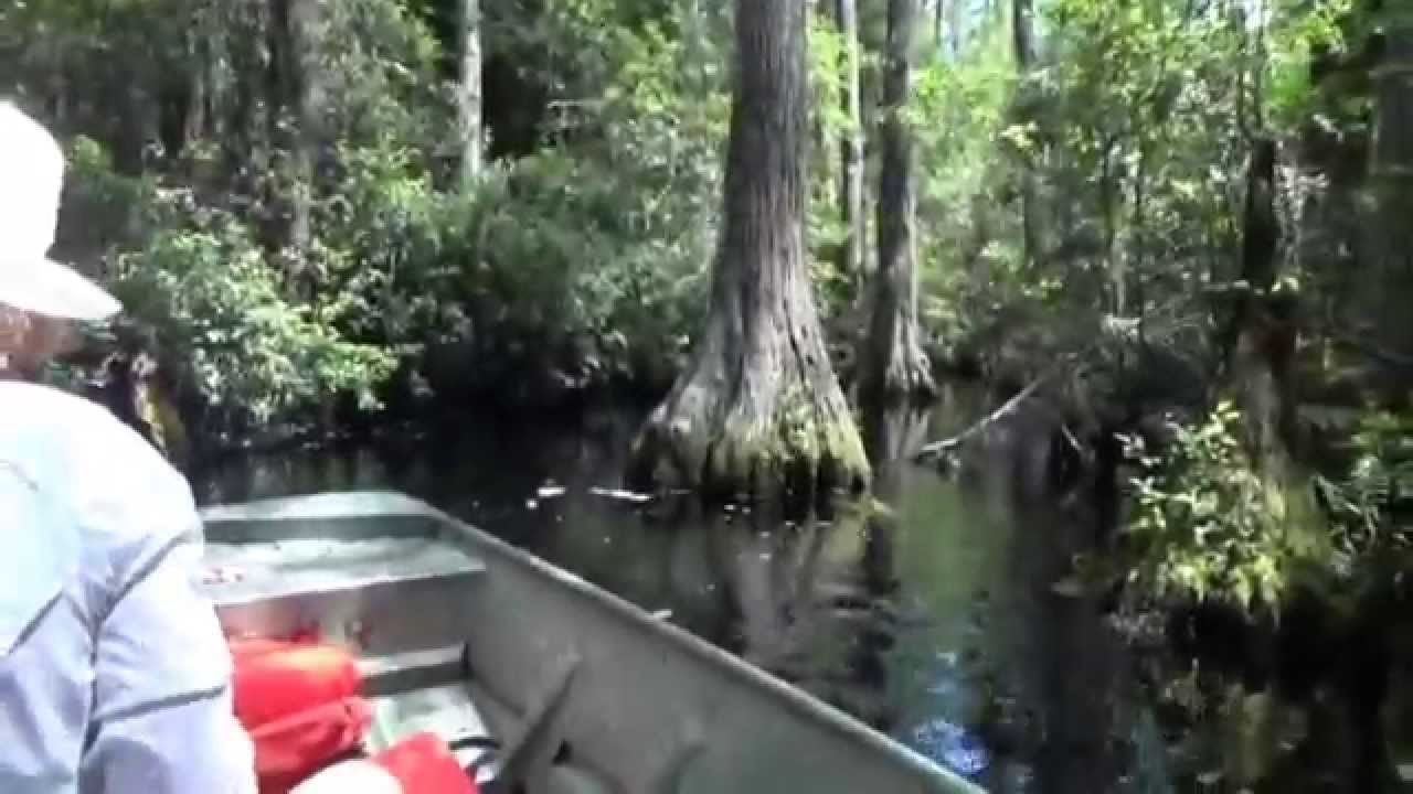 Boating Stephen C. Foster State Park