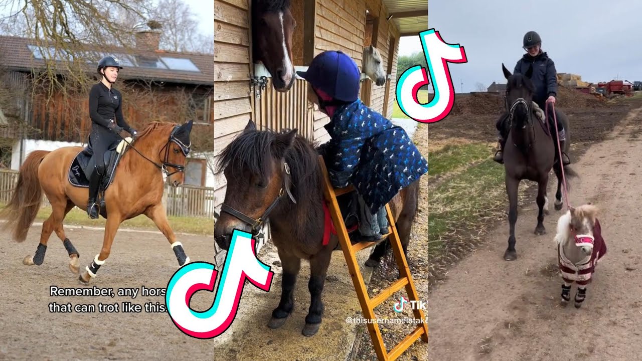 The Cutest HORSES Equestrian TikTok Compilation #124