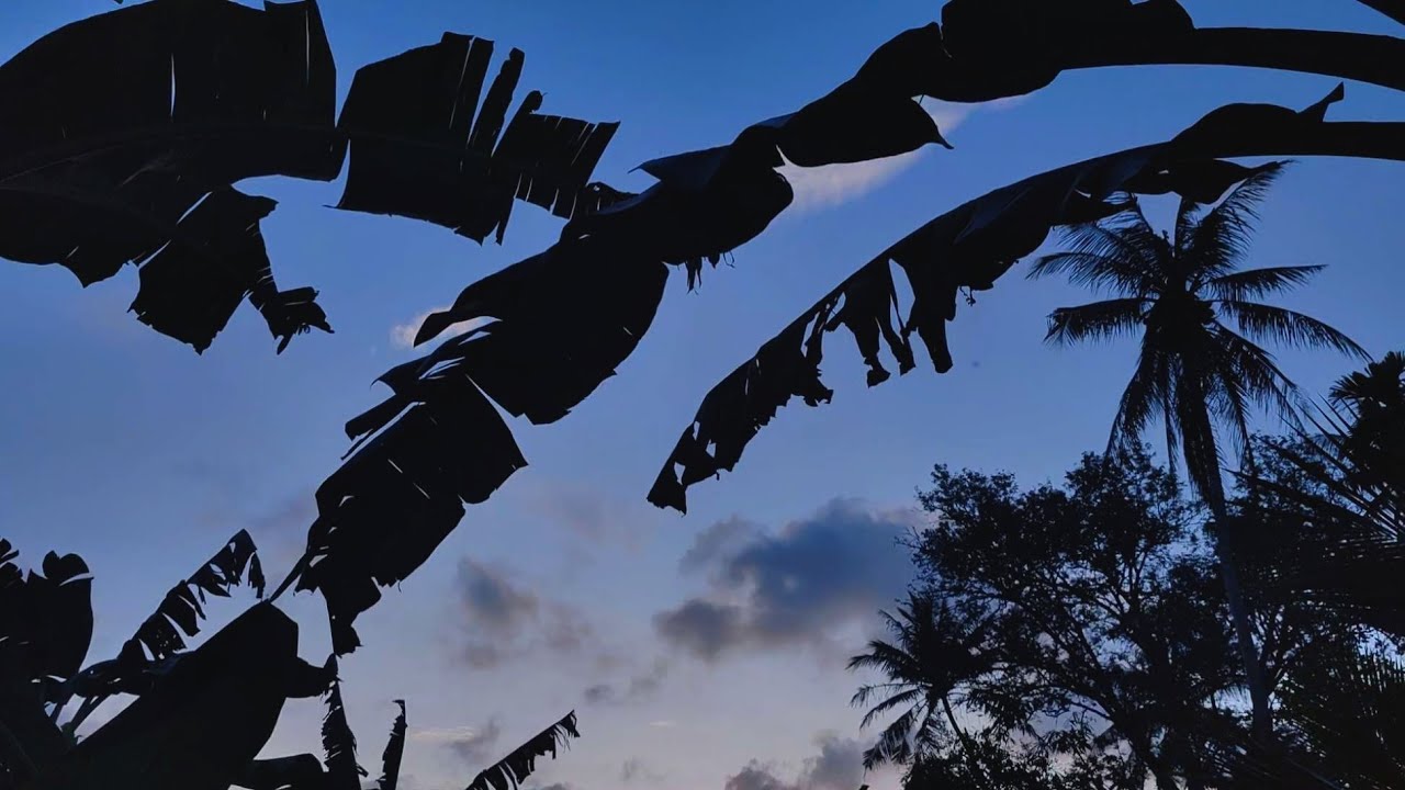 Quiet Walk in Rattaphum, Thailand · Daily Quiet · learning to stay with fading light