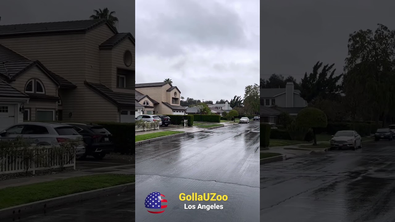 Street in the USA. Beautiful houses🇺🇸LA #america #usa #california #losangeles #travel #music