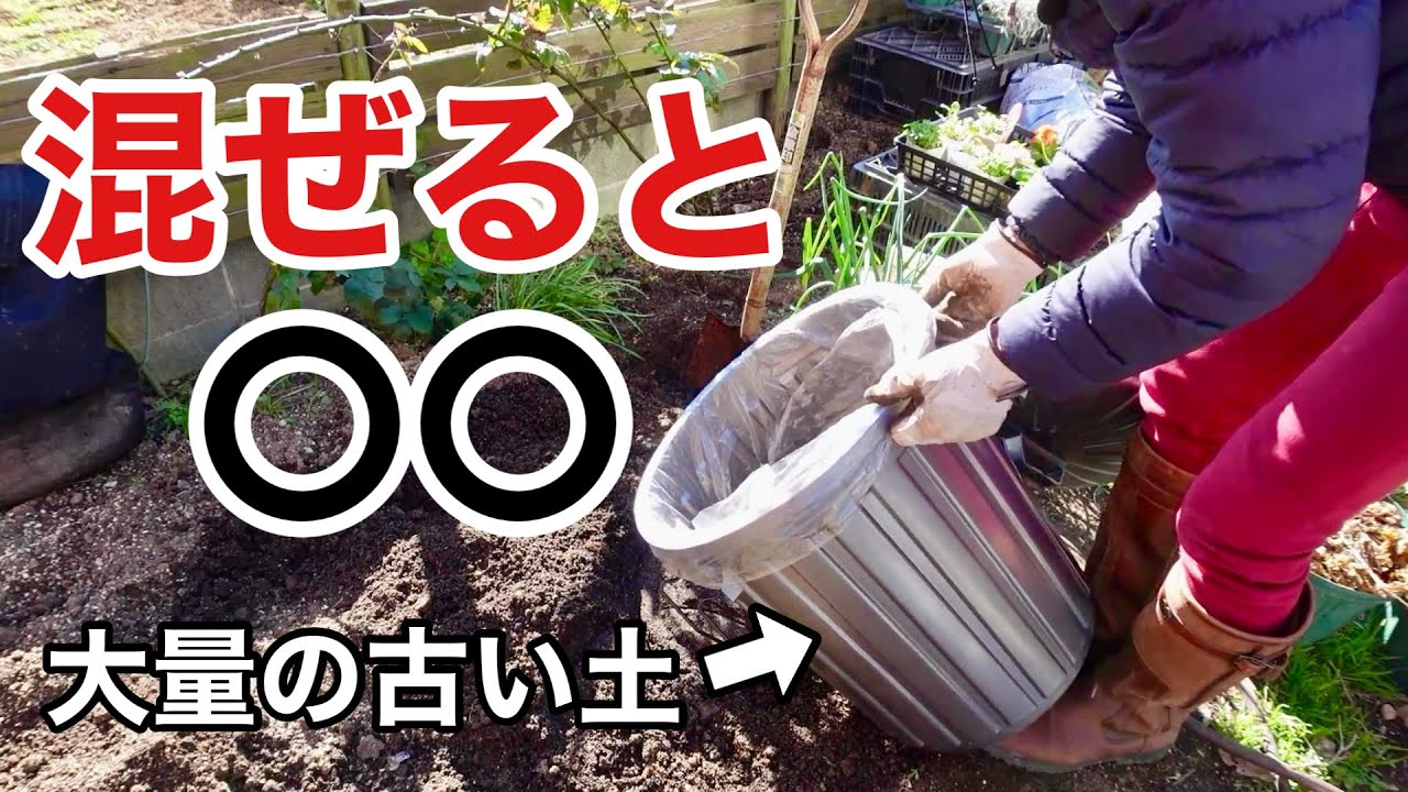 大量に出てきた古い土は絶対に〇〇　【園芸超人カーメン君】