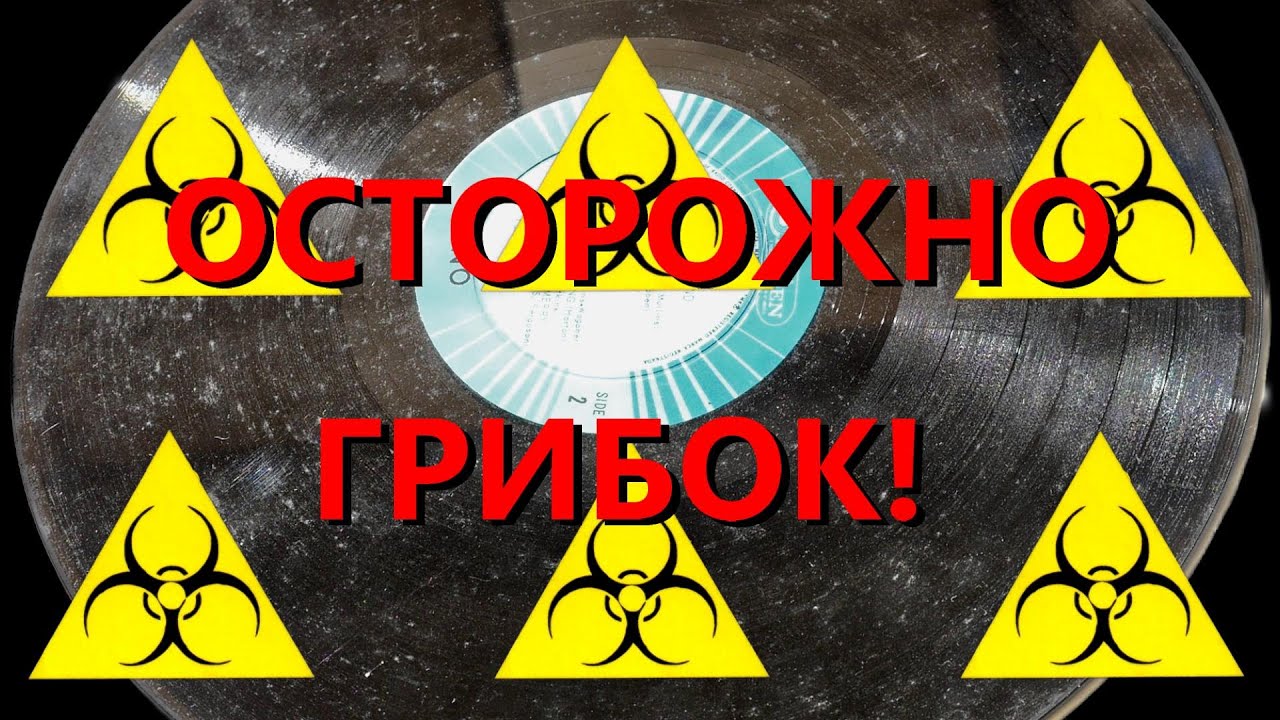 Пластинки с грибком - можно ли от него избавиться?