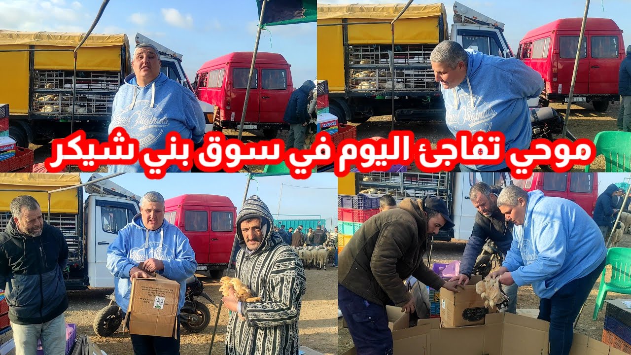 موحي من سوق بني شيكر شوفو شنو قال تفاجئت اليوم لهذا السبب ياحصراه على هاذ السوق
