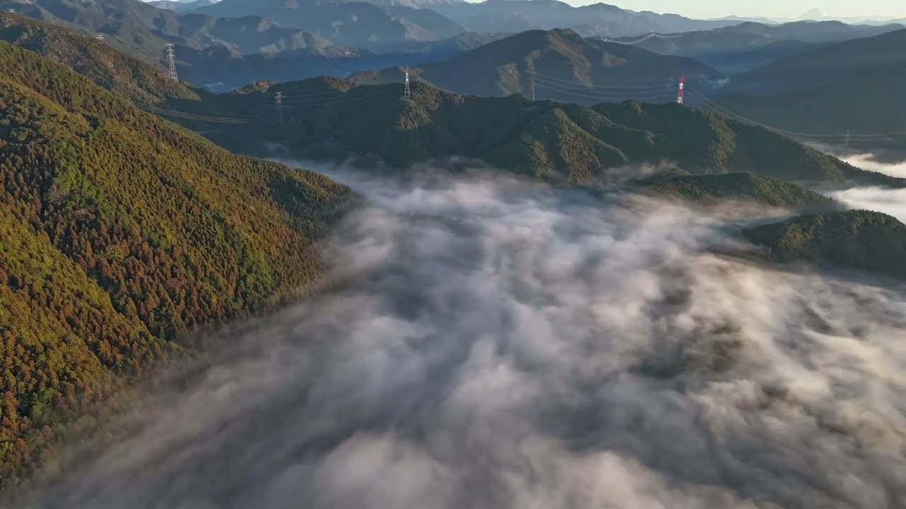 秋葉の朝