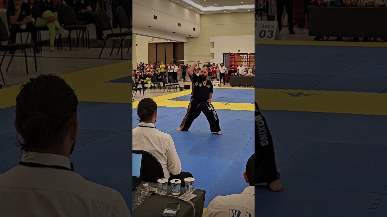 MUSICAL FORMS KICKBOXING #KICKBOXING #MUSICALFORMS #WAKO #CBKB #FRMK #artemarcial #martialarts