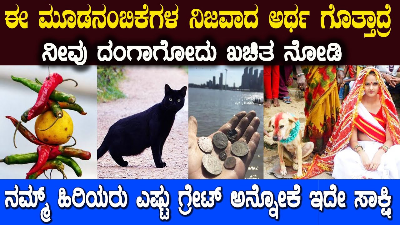 ಇದರ ಹಿಂದಿನ ಅಸಲಿ ಸತ್ಯ ಗೊತ್ತಿರದೇ ನಾವು ಏನು ಮಾಡ್ತಿದ್ದೀವಿ ಗೊತ್ತಾScience Behind Indian People Superstition