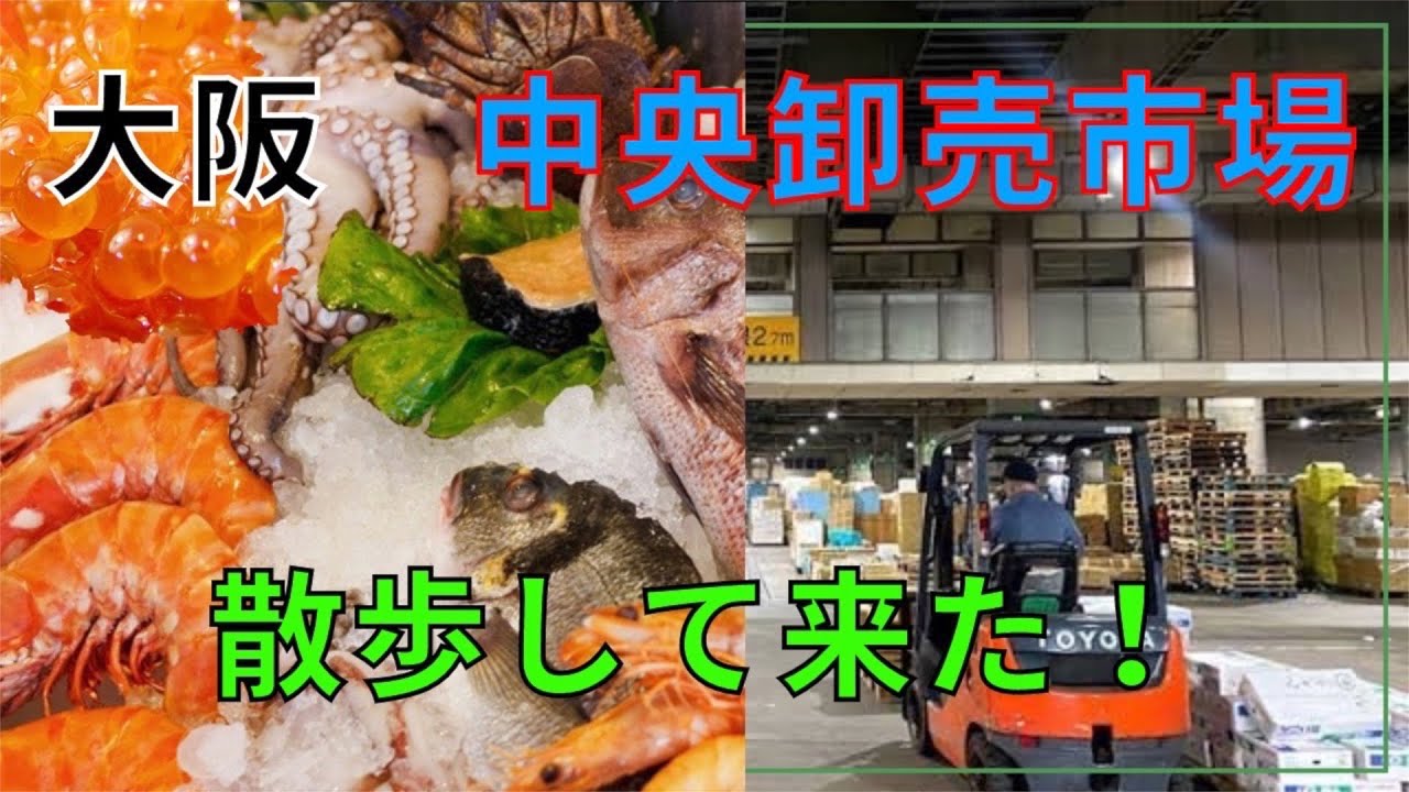 大阪市中央卸売市場に行ってみた！